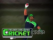 Παιχνίδι πρόκλησης Cricket Fielder